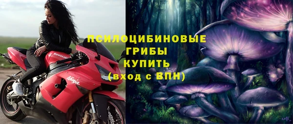 каннабис Вяземский