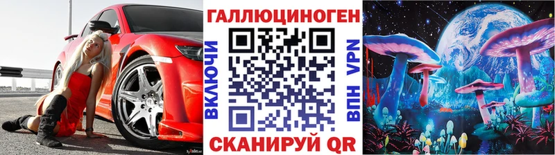 дарк нет как зайти  Иваново  Галлюциногенные грибы Psilocybe 